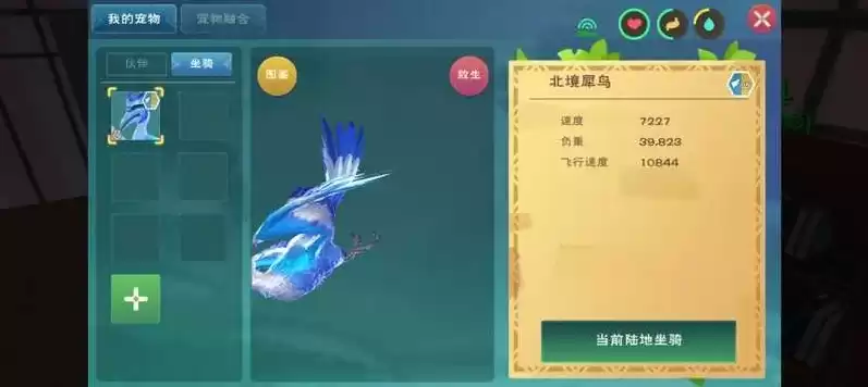 创造与魔法 海，创造与魔法华胥星海新宠物