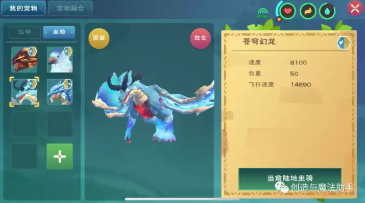 创造与魔法苍穹幻龙宠物测评，创造与魔法苍穹幻龙宠物资质