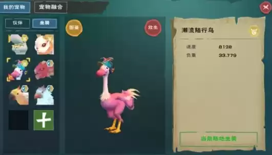 创造与魔法陆行鸟的饲料怎么得，创造与魔法陆行鸟饲料怎么做保底多少包