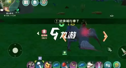 创造与魔法云斑鹦鸟保底多少包饲料，创造与魔法云斑鹦鸟保底多少饲料