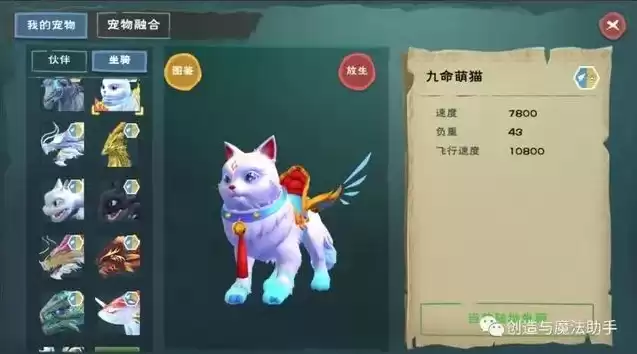 创造与魔法更新的新宠物怎么获得，创造与魔法更新了什么宠物