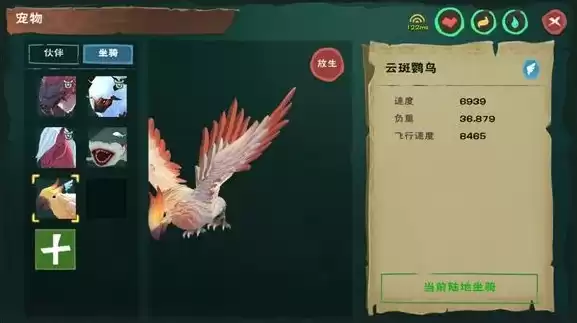 创造与魔法云斑鹦鸟值得买吗，创造与魔法云斑鹦鸟多少钱能买到