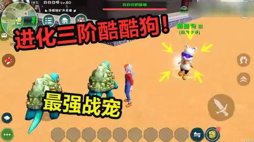 创造与魔法净化魔法配方，创造与魔法净化