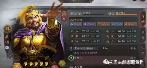 三国志战略版灵犀版角色转移，三国志战略版灵犀版武将升级