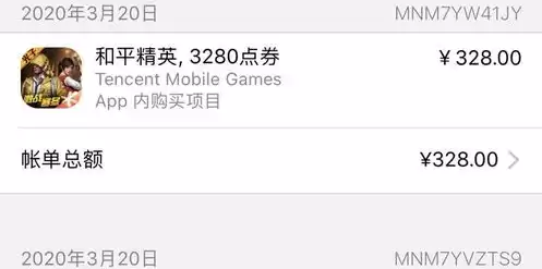 苹果怎么查看和平精英充值记录，苹果手机充值和平精英查询