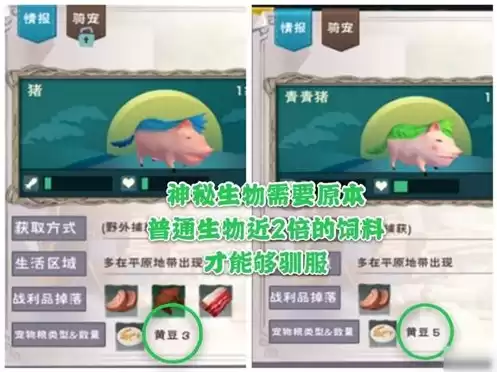 创造与魔法不小心销毁绑定道具，创造与魔法解除绑定道具