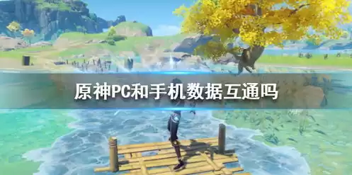 原神pc和手机通用吗，原神pc端和手机互通吗