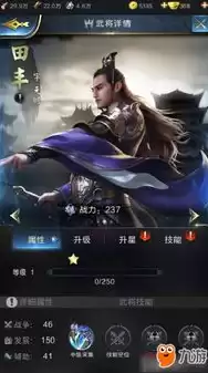 乱世王者5星武将，乱世王者五子登科怎么打啊呢