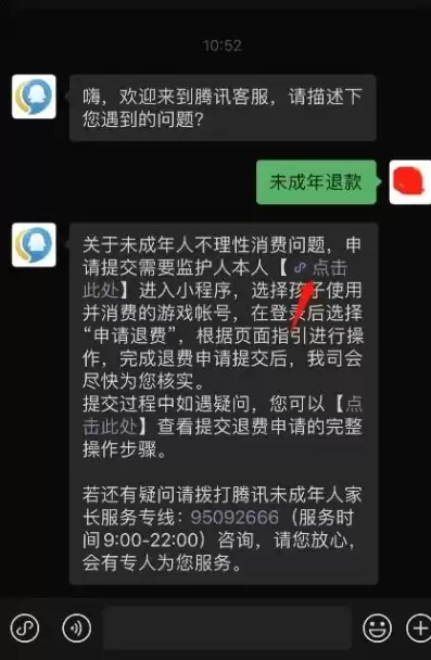 王者荣耀成年退款教程，王者荣耀成年充值退款流程