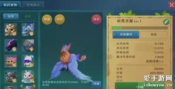 创造与魔法祈愿灵翼可六资质，创造与魔法祈愿灵翼最高资质