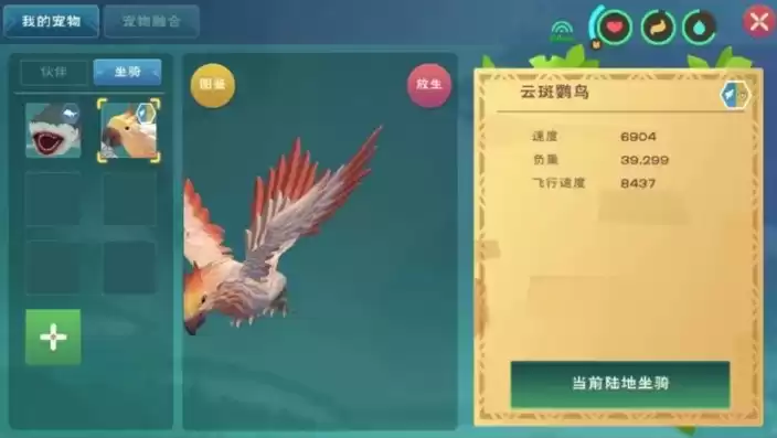 创造与魔法怎么捉飞行坐骑，创造与魔法怎么训飞行坐骑