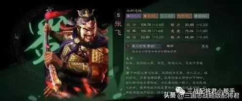 三国志战略版陆抗怎么样，三国志战棋版陆抗t0队伍