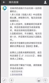 王者客服反馈之后怎么再次举报，王者荣耀的客服反馈在哪里