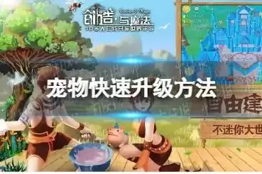 创造与魔法 宠物升级，创造与魔法新宠物升级