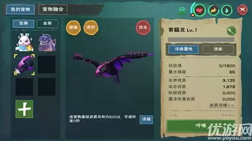 创造与魔法坐骑兑换码最新，创造与魔法坐骑礼包码2024最新版本