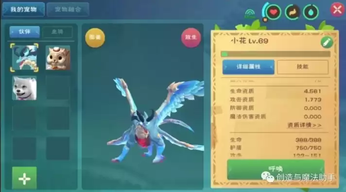 创造与魔法新融合宠物技能介绍，创造与魔法融合宠物蛟龙怎么获得啊