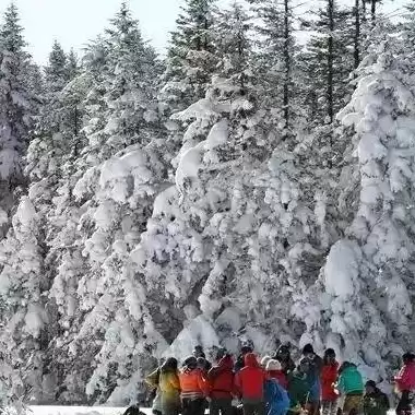 梦幻西游手游任务流程图，梦幻西游手游任务流程，梦幻西游手游任务流程详解，一步一脚印，探寻梦幻世界之谜