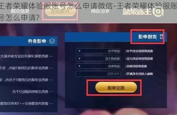 王者荣耀微信怎么申请体验服资格，王者荣耀微信怎么申请体验服，王者荣耀微信版体验服申请攻略，轻松加入测试行列，抢先体验新内容！