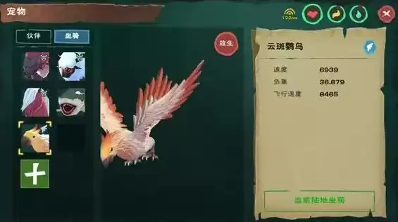 创造与魔法云斑鹦鸟位置最新版，创造与魔法云斑鹦鸟位置最新，创造与魔法，云斑鹦鹉最新位置揭秘，探险者的宝藏指南！