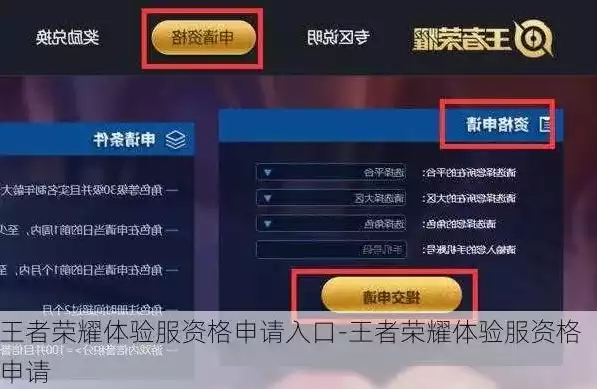 王者荣耀体验服申请官网，王者荣耀体验服申请，王者荣耀体验服申请攻略，全面解析官方流程及注意事项