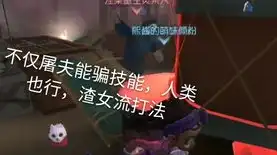 第五人格闪现是什么意思，第五人格闪现，揭秘游戏中的神秘音效与技巧