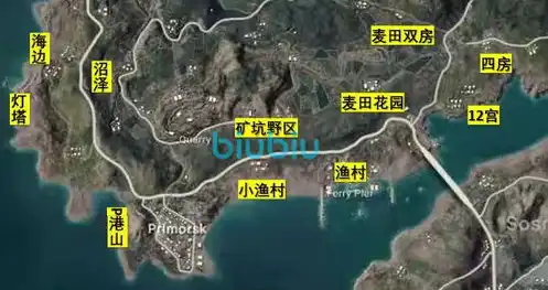 和平精英海岛攻略，和平精英海岛生存攻略，揭秘海岛地图的生存技巧与策略！