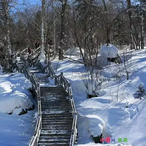 明日方舟雪原冰封废城，明日方舟，冰封雪谷400杀，探索雪原废城的神秘之旅