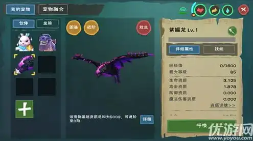 创造与魔法兑换码坐骑最新，创造与魔法兑换码2021年6月永久坐骑攻略，解锁神秘坐骑，畅游奇幻世界！