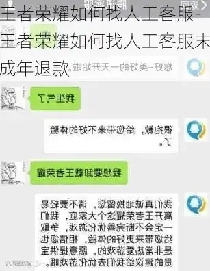 王者客服怎么转真人，王者荣耀人工客服转真人体验，从智能助手到贴心伙伴的蜕变之旅