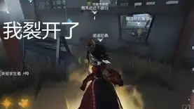 第五人格闪现是什么意思，第五人格闪现音效之谜，为何游戏中没有声音反馈？深度解析