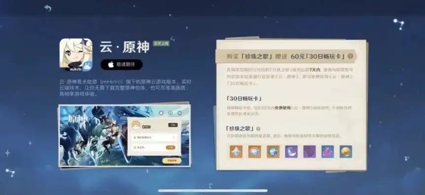 原神云游戏是什么意思啊手机版，原神云游戏详解，手机版原神云游戏是什么意思及玩法解析