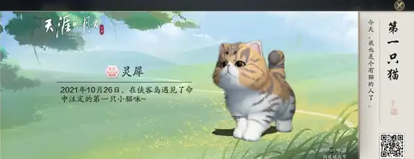 天涯明月刀猫有什么用，天涯明月刀手游宠物猫捏脸数据解析，猫咪的多样用途与养成技巧