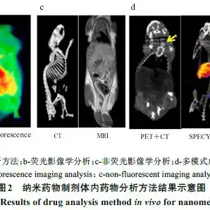 和平精英最新灵敏度分享码，2022和平精英最稳灵敏度分享码大揭秘！助你战无不胜！