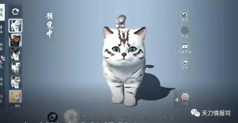 天涯明月刀猫耳朵，天涯明月刀猫耳朵饰，独特造型打造萌态佳人