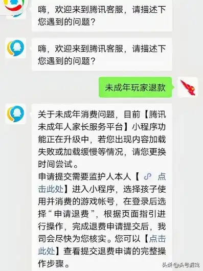 王者荣耀成年玩家如何退款，王者荣耀成年玩家退款攻略，详尽解析退款流程及注意事项