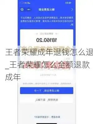 王者荣耀成年玩家如何退款，王者荣耀成年玩家退款攻略，详尽解析退款流程及注意事项