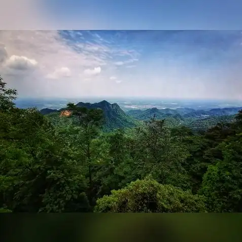 问道手游道心会员怎么得，问道手游道心会员购买攻略，全面解析获取方式及购买途径