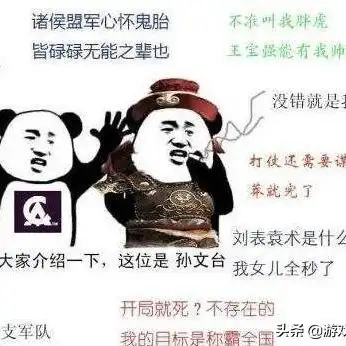 三国志战略版网站，深度解析三国志战略版官方网站，领略古代战争策略的魅力