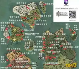 创造与魔法宠物饲料大全2024，2024创造与魔法宠物饲料大全，全方位解析宠物营养盛宴