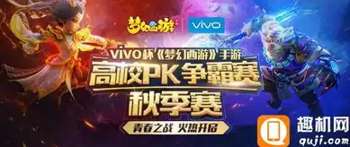 梦幻西游手游vivo通用版本大全，梦幻西游手游vivo通用版本大全，探索经典游戏在vivo平台的新生