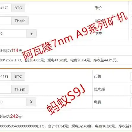 阿瓦隆之王钻石，阿瓦隆之王v12.8.0钻石升级攻略，全方位解析钻石投资与收益最大化策略