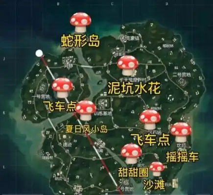 和平精英海岛打法思路图，和平精英海岛生存攻略，全方位打法思路解析