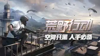 荒野行动网易版在线下载教程，荒野行动网易版，全方位在线下载教程，让你畅享游戏乐趣！