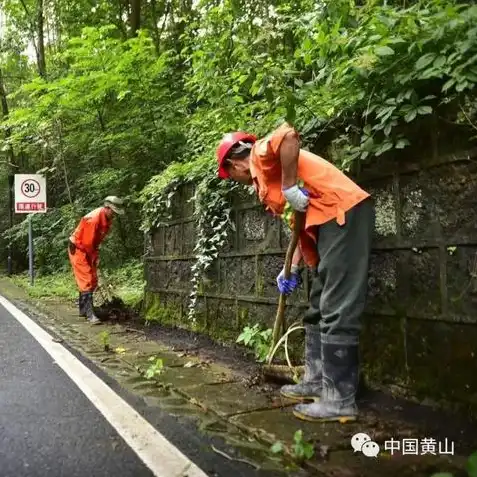 明日之后小树枝怎么获得视频，明日之后小树枝获取攻略，新手玩家必备！