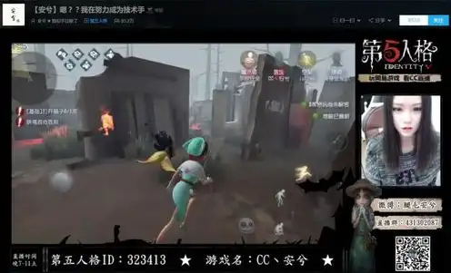 第五人格陌生人是谁，第五人格，揭秘陌兮塌房之谜，陌生人究竟是谁？