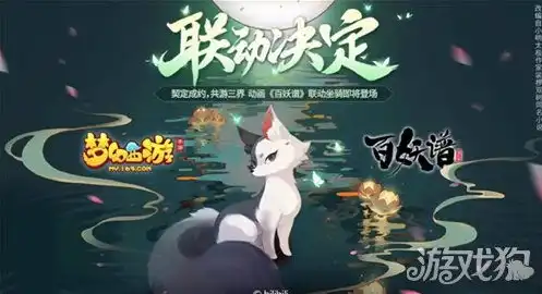 梦幻手游时光猫是不是坑，梦幻西游手游时光猫解析，揭秘时光猫的实用价值及是否坑