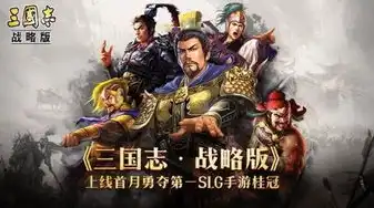 三国志战略版地形攻略图，三国志战略版，深入剖析地形攻略，助你征战四方！