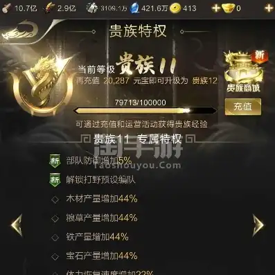 乱世王者直充号可以传承吗，乱世王者直充号的传承之谜，揭秘游戏内的神秘传说