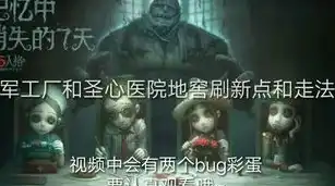 第五人格身世视频解说，第五人格，揭开神秘面纱，探寻游戏背后的身世之谜