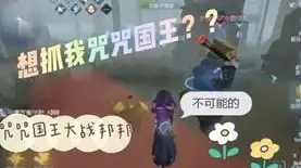 第五人格陌路仙踪，第五人格，陌路仙踪，揭秘神秘女巫陌兮的传奇故事